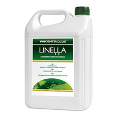 Vincents Polyline Lineļļa Vincents Polyline LINEĻĻA 1L - gab.